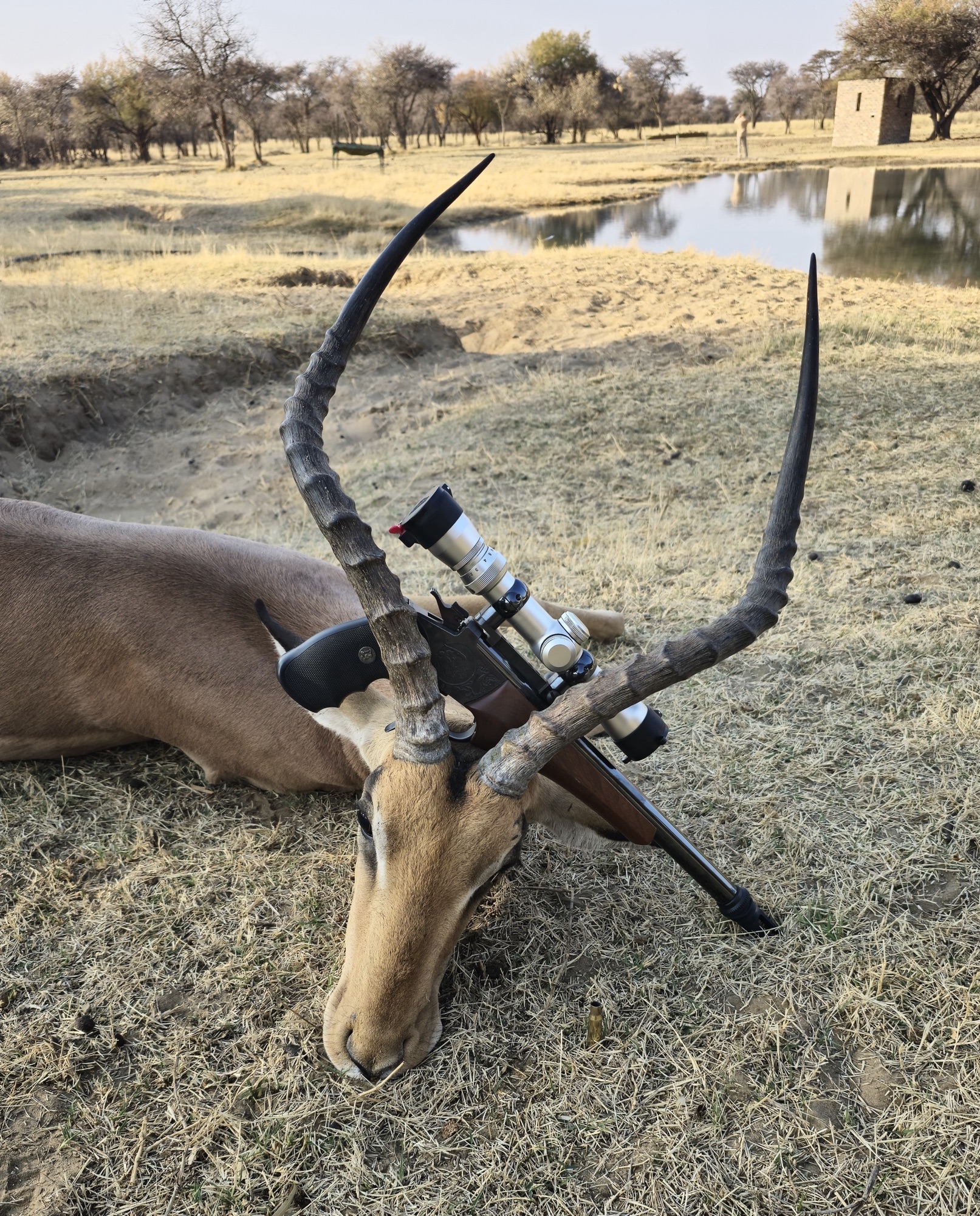 Everything Happens For a Reason by: Joey Leblanc