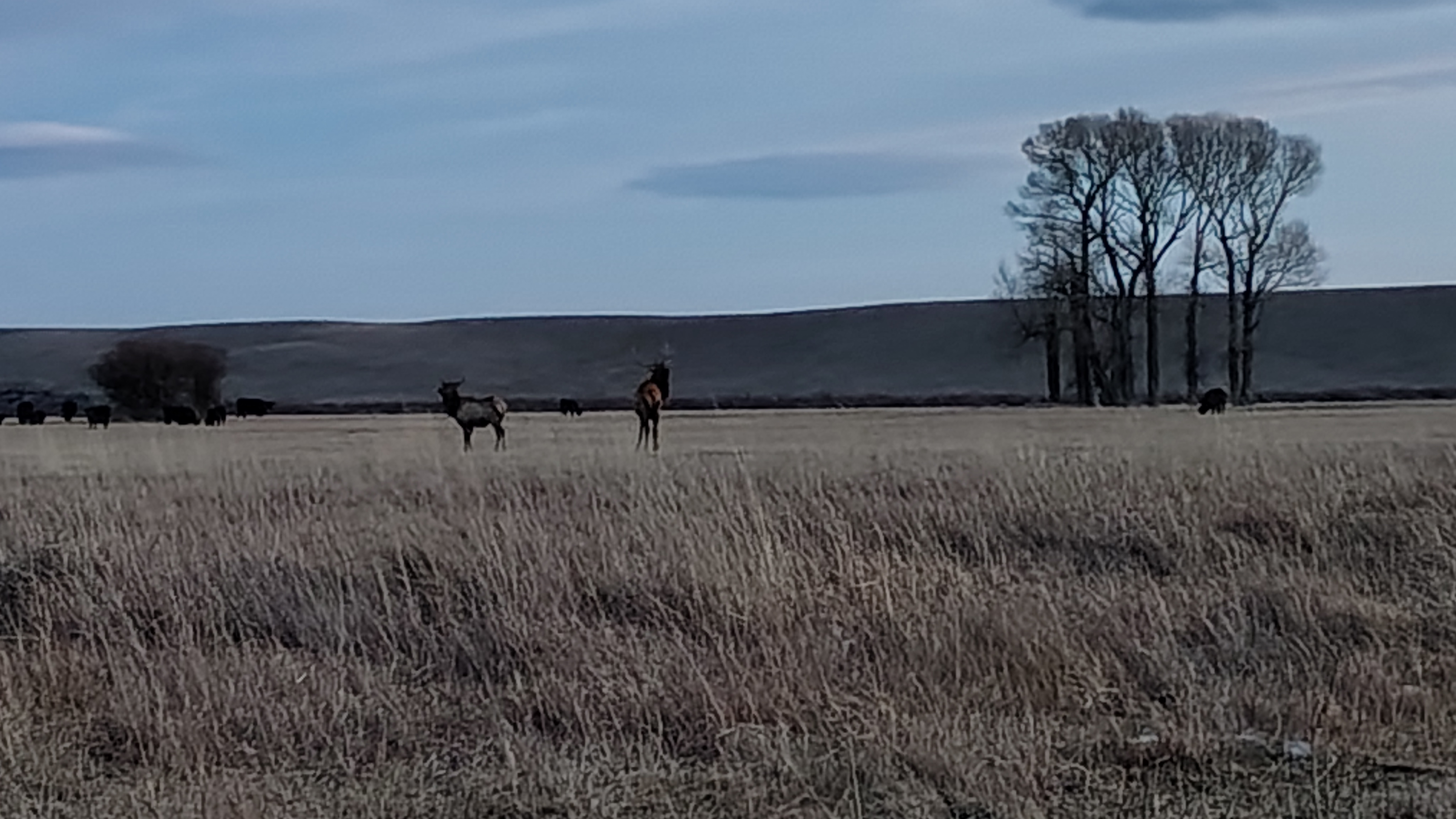 The Full House: Sweeping Wyoming’s Iconic Four by: Mladen Simovic